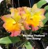 Rlc. Miss Thailand Orn Anong
